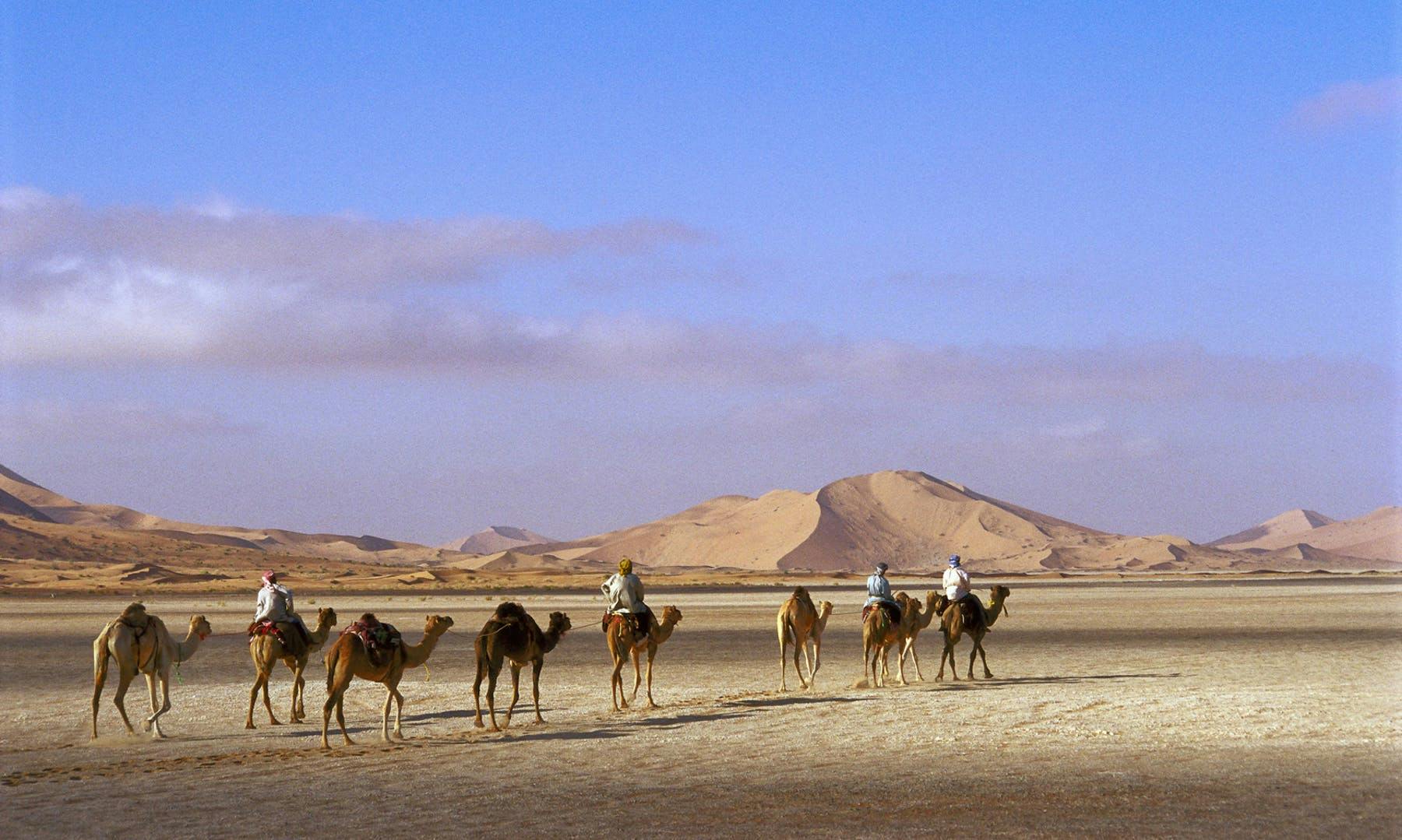 Line of camels carrying people in a desert landscape