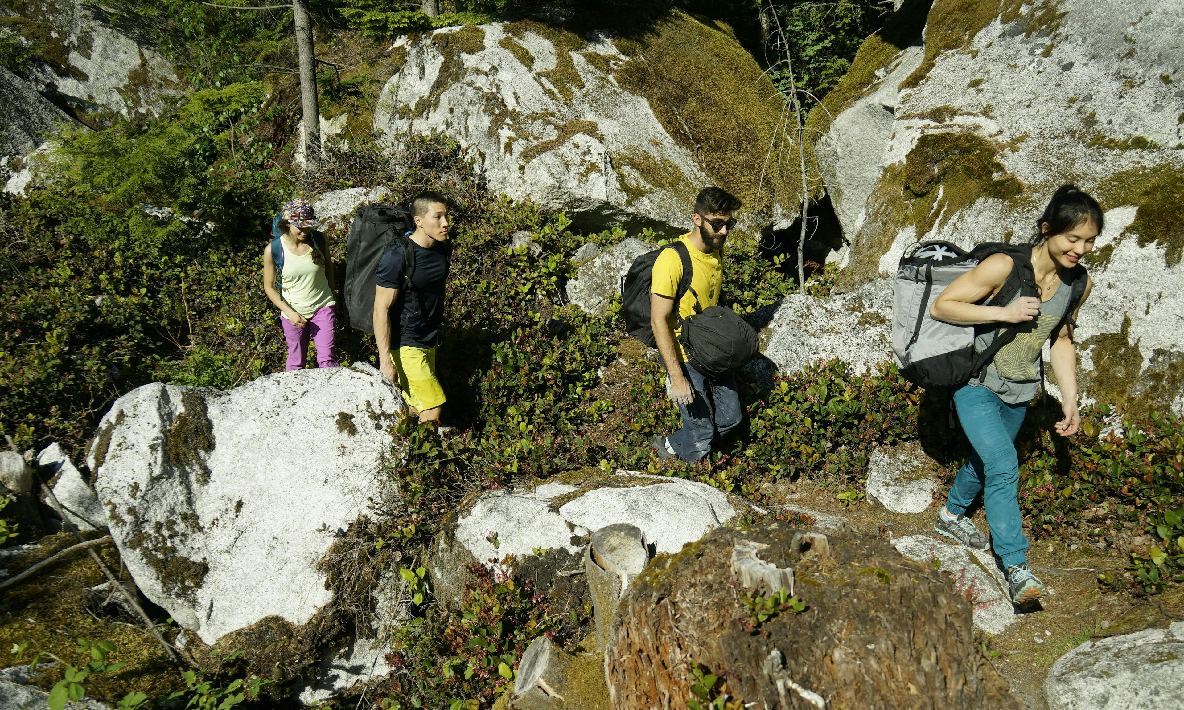 Four climbers walking on a trail to the climbing area
