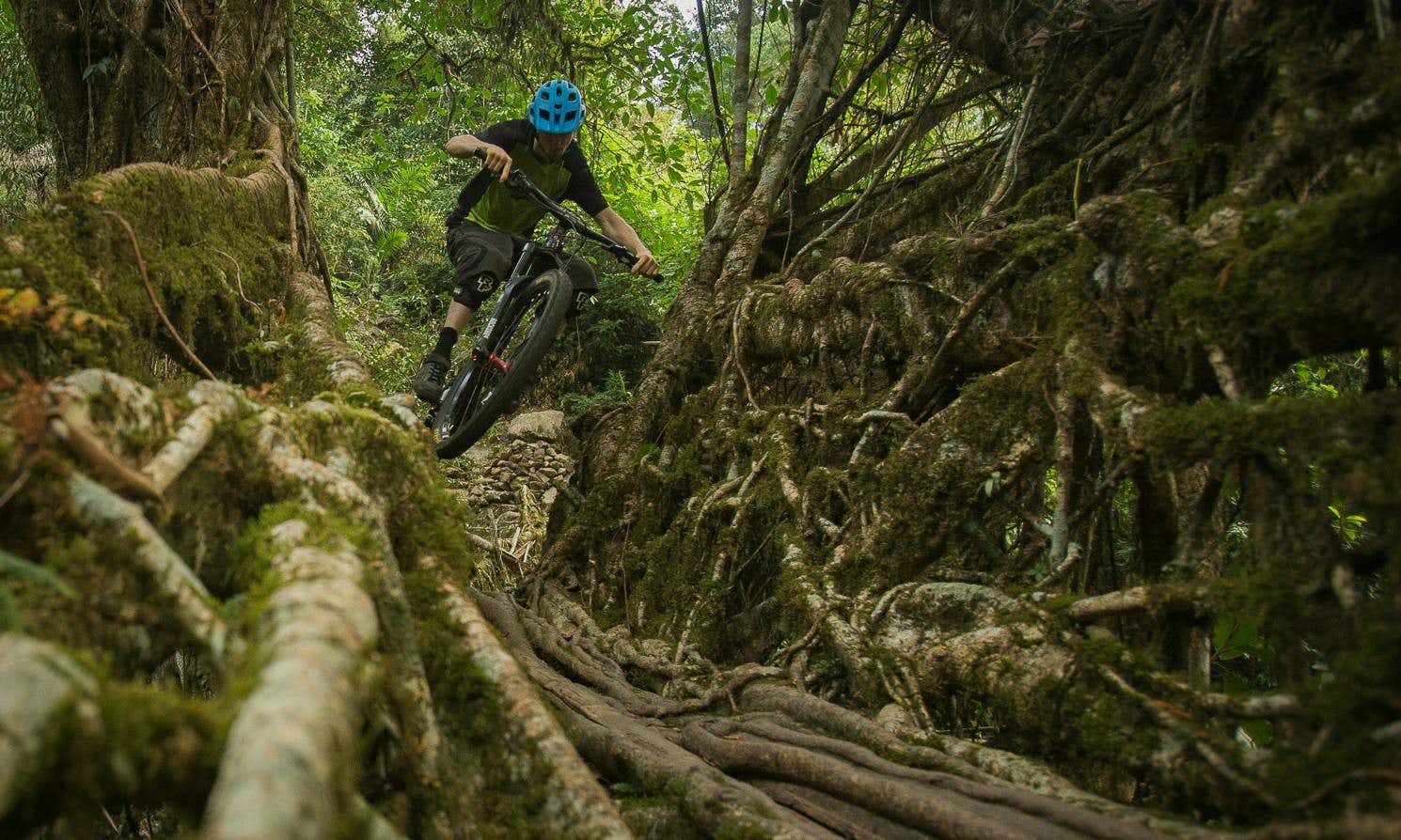 mountain biking over root bridge