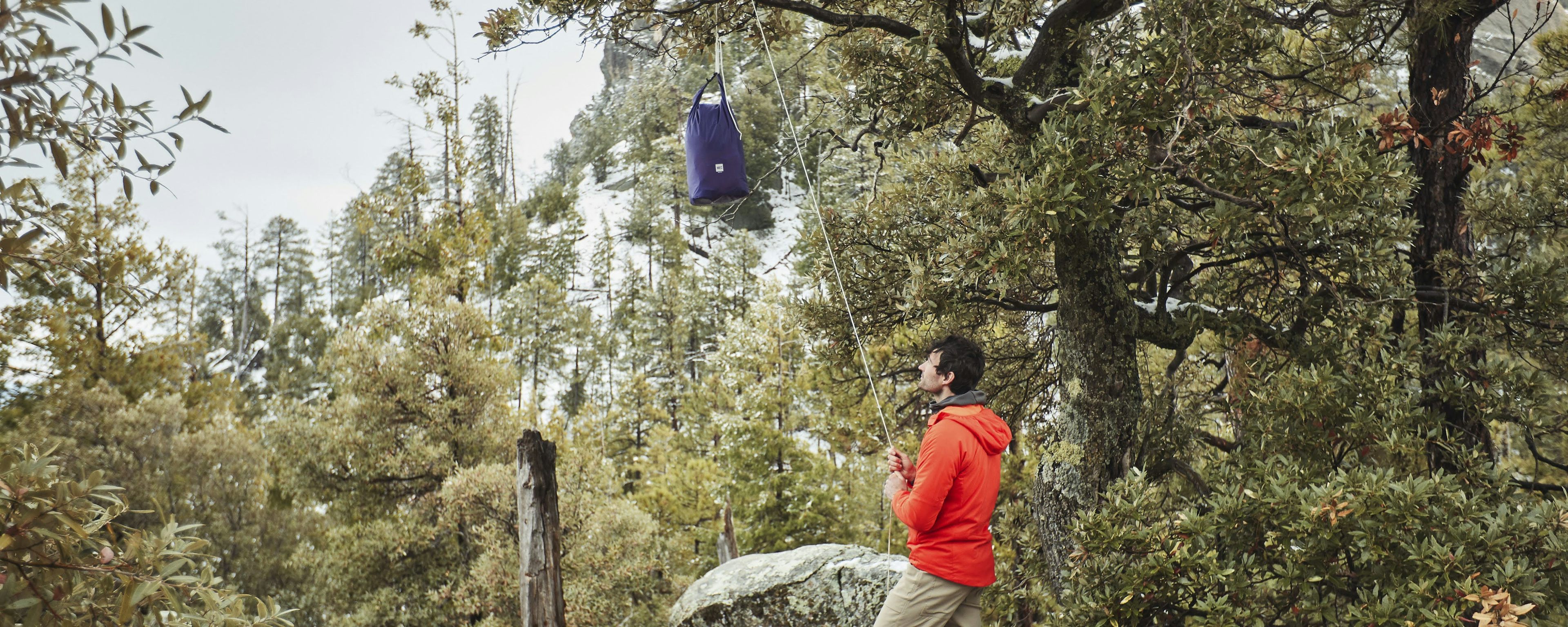 Hiker setting up a bear bag hanging from a tall tree