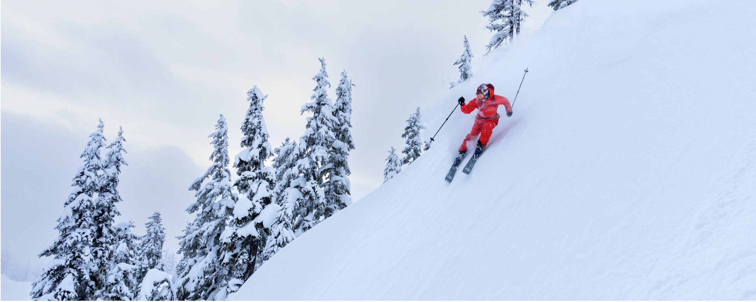 Découvrez nos services de pose de fixation et de thermoformage des chaussons, ainsi que nos rabais sur les skis de fond.