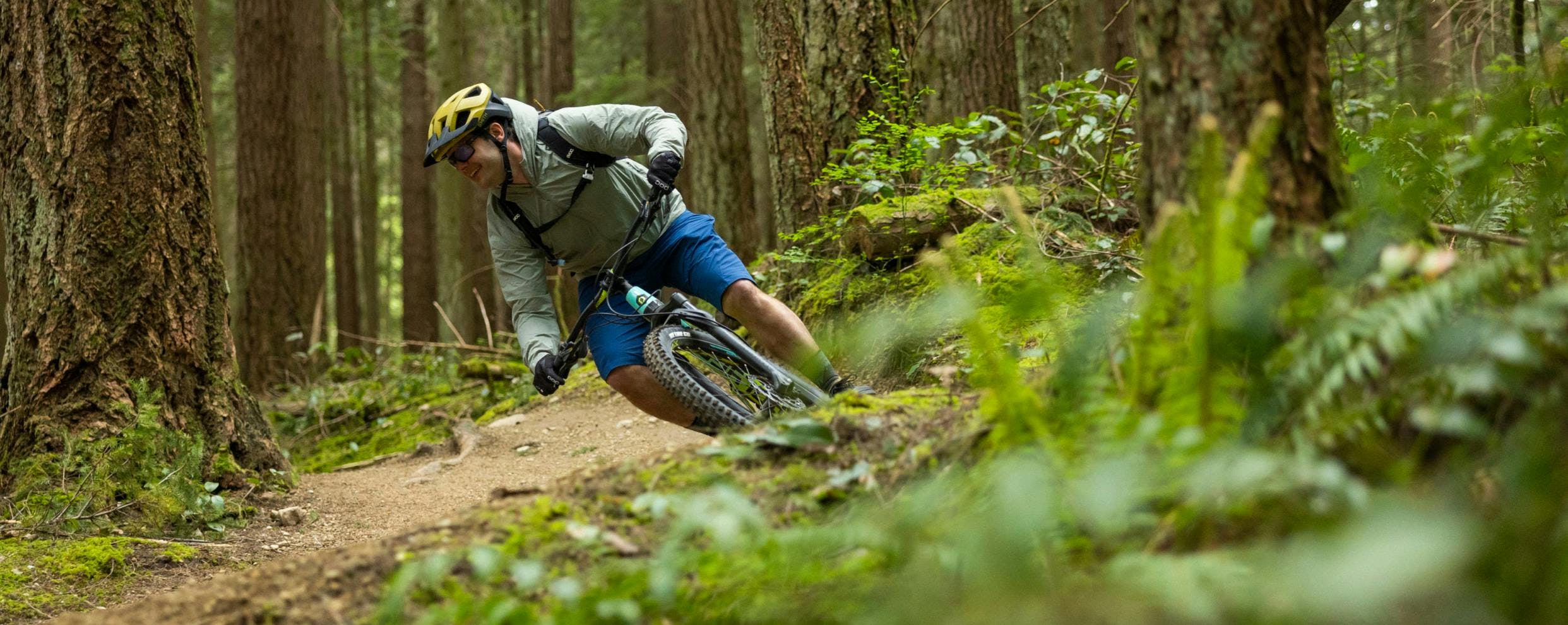 Person on a mountain bike riding on a trail in a forested area