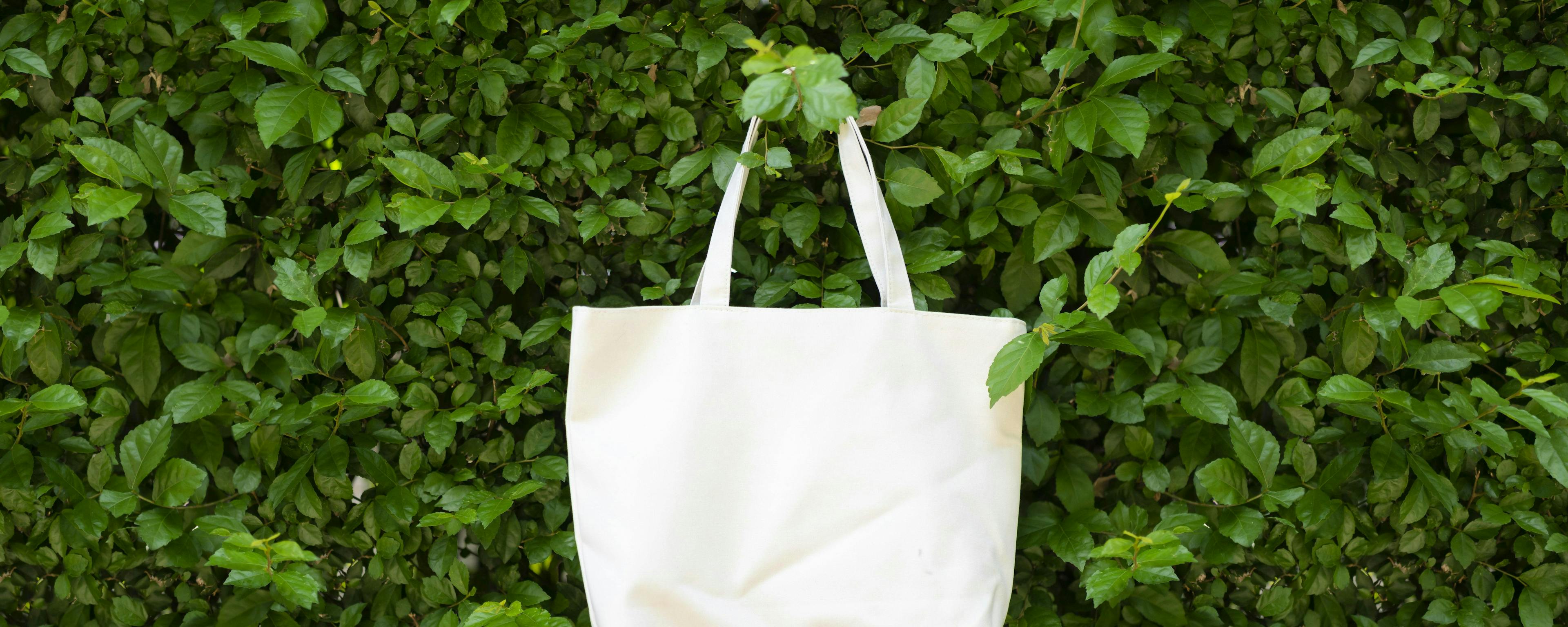 Reusable shopping bag on green leafy backdrop